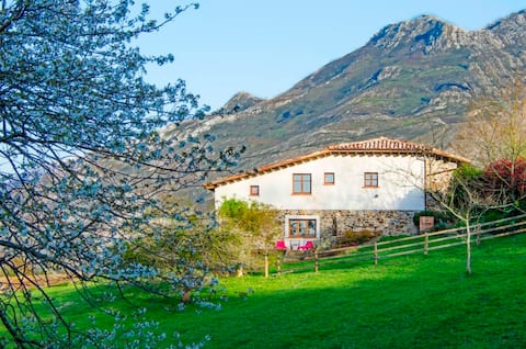 Successful Airbnb property: LLANES, COTTAGE FARM, 6/7 PAX, in Llanes
