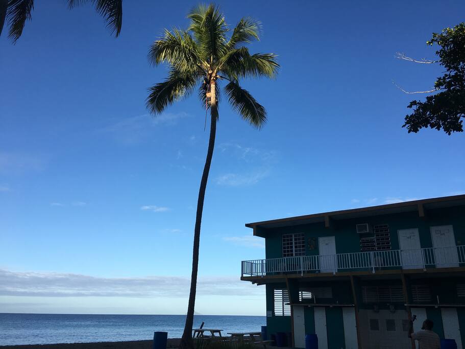 Rincon Beach Apartment Playa Corcega Official Apartment In Stella Puerto Rico 1 Bedroom 1 Bathroom