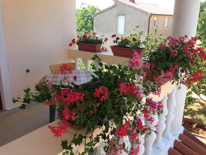 Apartman Fondole - Fažana