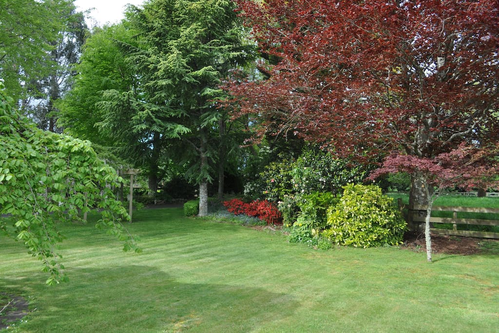 Relax in our garden