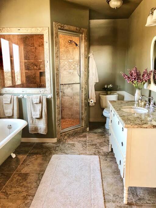 Steam shower and luxury tub