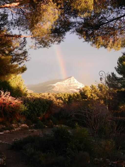 Vue de la terrasse après la pluie