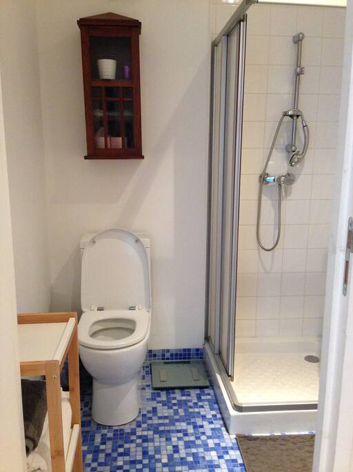 salle de douche avec wc - sol en emaux de briare