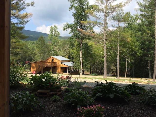 Top 10 Pet Friendly Cabins In Virginia Updated 2021 Trip101