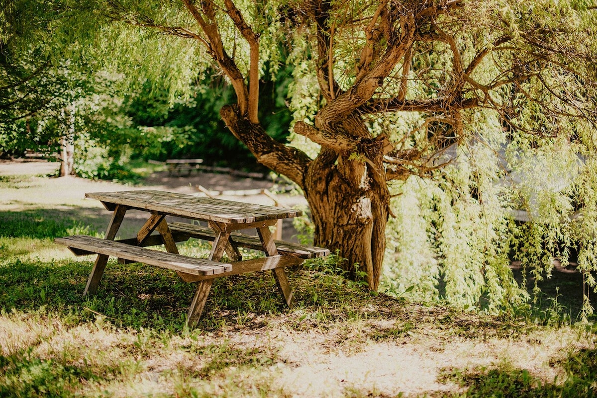 A wooden picnic table is positioned under a large tree, surrounded by lush greenery. Sunlight filters through the leaves, creating dappled shadows on the grass. The serene setting offers an inviting space for outdoor dining or relaxation.