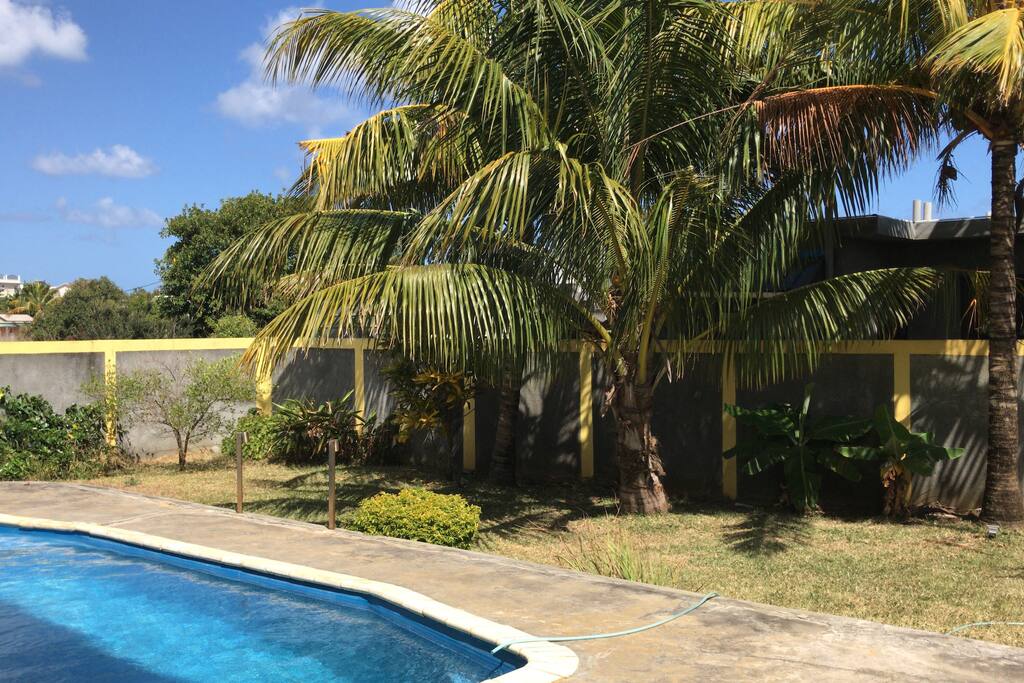 Garden with pool