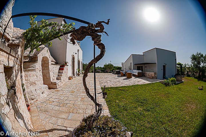 L’Aia di Cucumo – Il Palmento