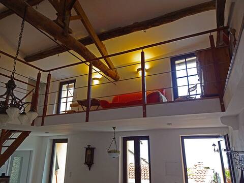 Ca' Serena - Historic village house with sea view