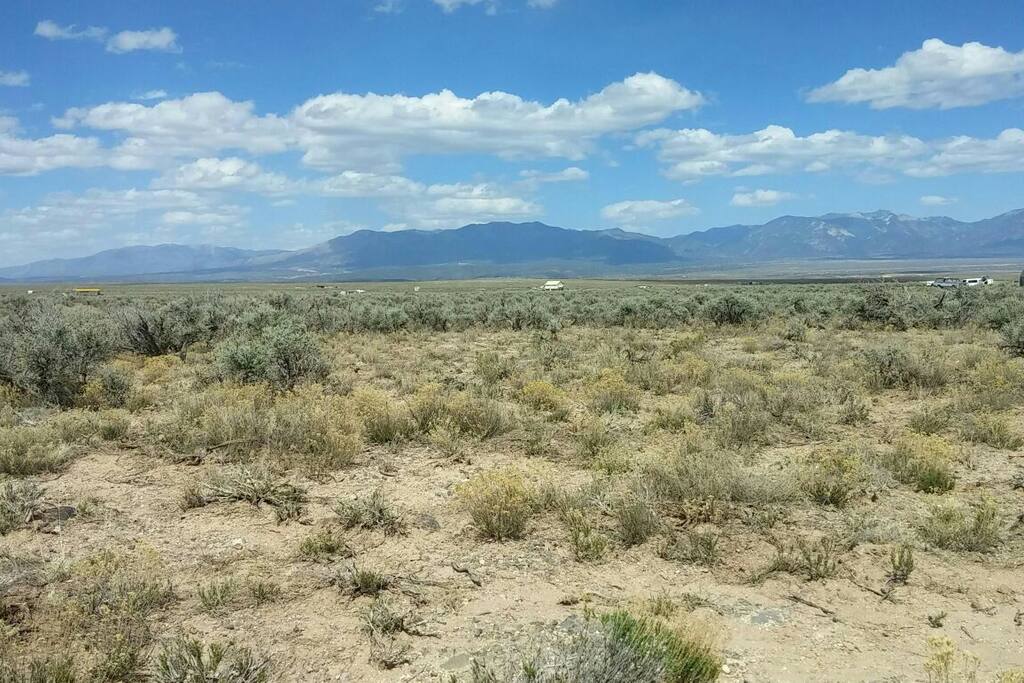 Soft grass, cleared of bushes, big enough for several tents.