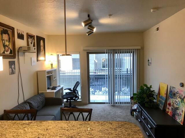 Cozy modern, trolley square, trax, downtown, UofU