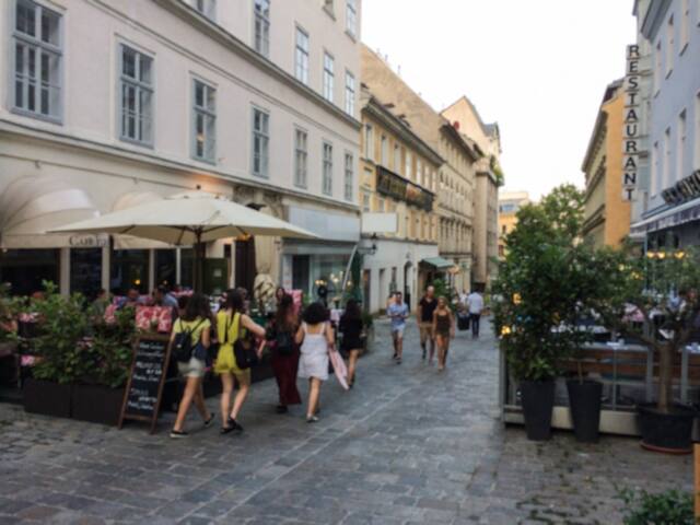 Lovely City Apartment