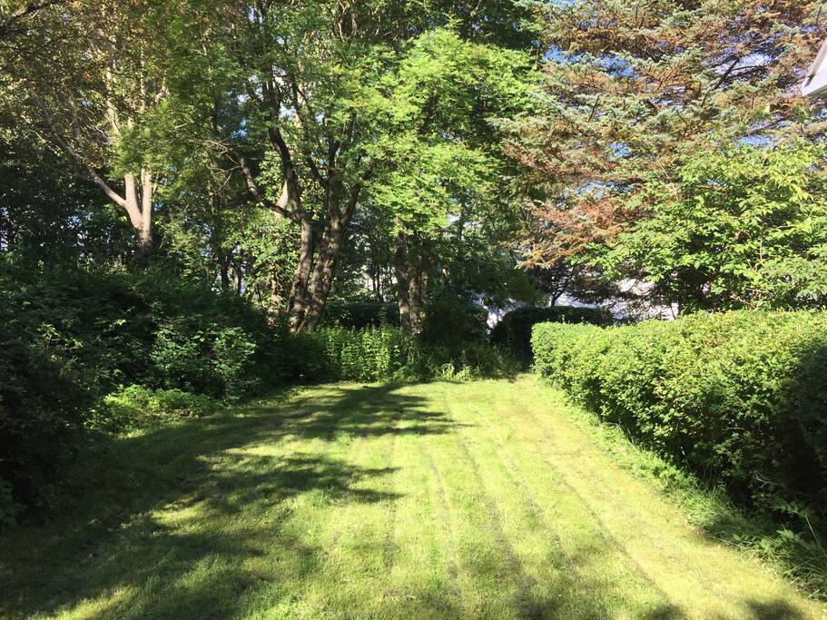 Garden