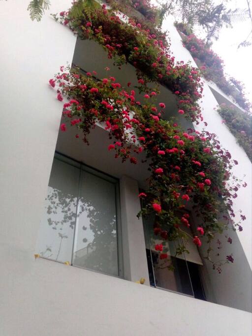 Fachada occidental edificio