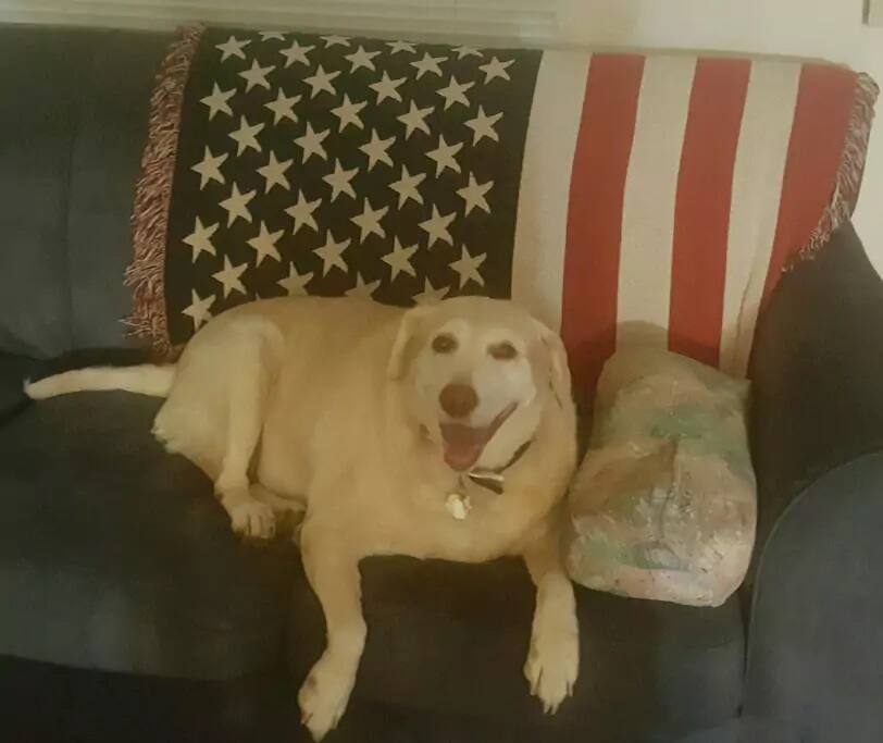 Sandy runs the house