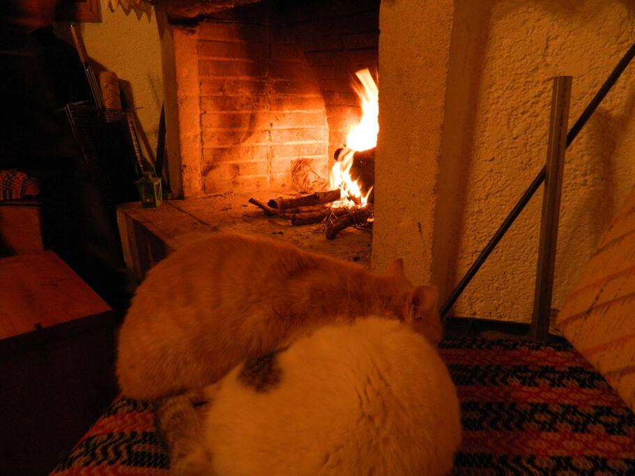 Fireplace in winter