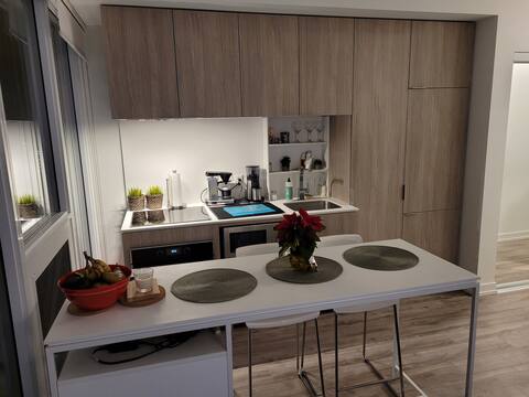 Modern one bedroom downtown Toronto condo