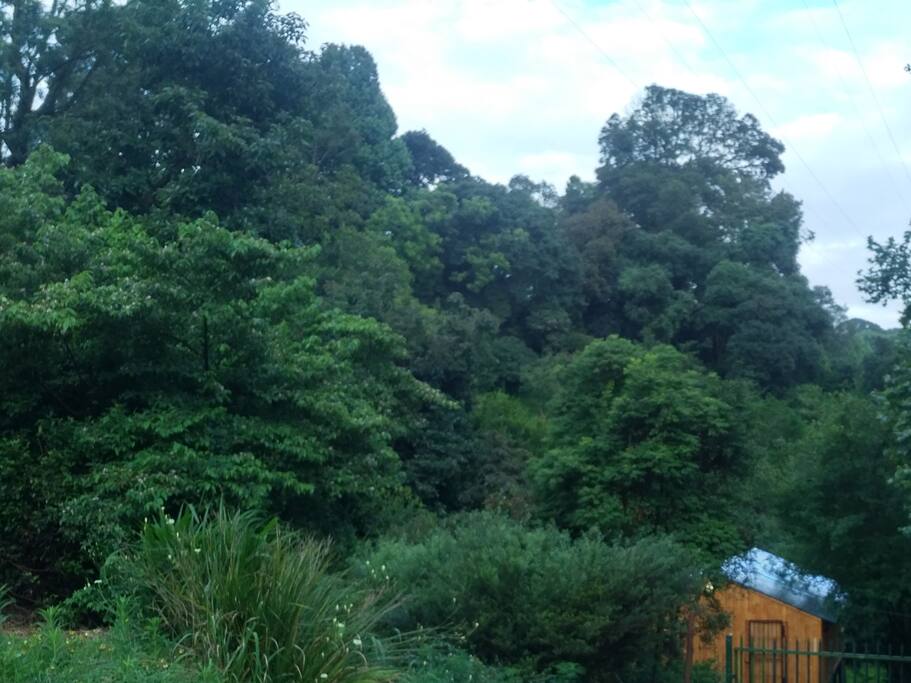 The view from the road