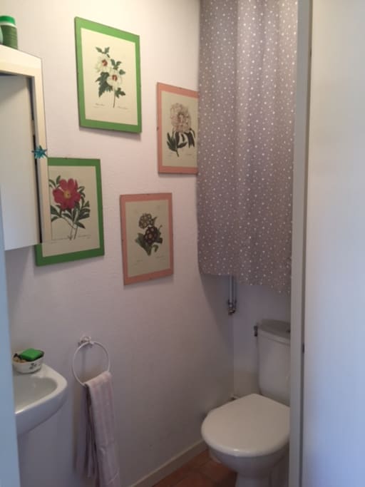 Toilette