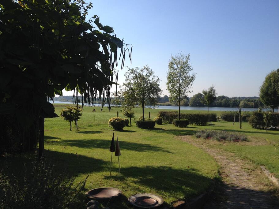 tuin