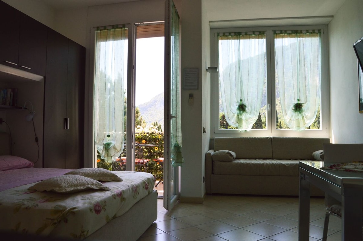 Top Airbnb: Apt.418 in Garda