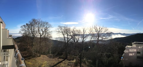 Cocon dans cadre exceptionnel