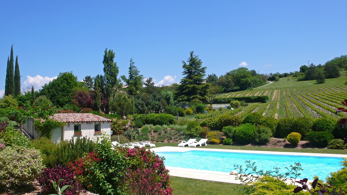 A serene outdoor area features a clear swimming pool surrounded by well-maintained gardens filled with a variety of plants. Lush vineyards stretch across the background, and a charming poolside structure is visible. Several sun loungers are positioned by the pool, inviting relaxation.