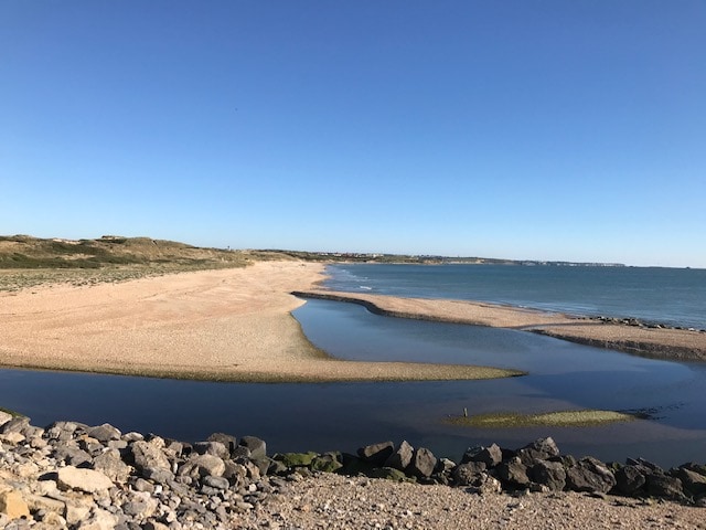 A serene beach scene is captured, featuring a sandy shoreline that curves into a gentle bend. Calm waters reflect the clear blue sky, while rocks are visible along the water's edge. Natural vegetation and dunes frame the beach, creating a tranquil atmosphere.