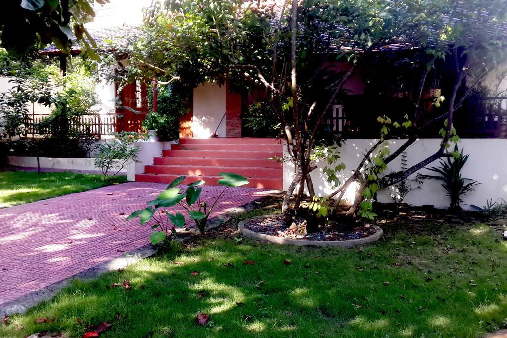 The Garden: the lawn and trees.