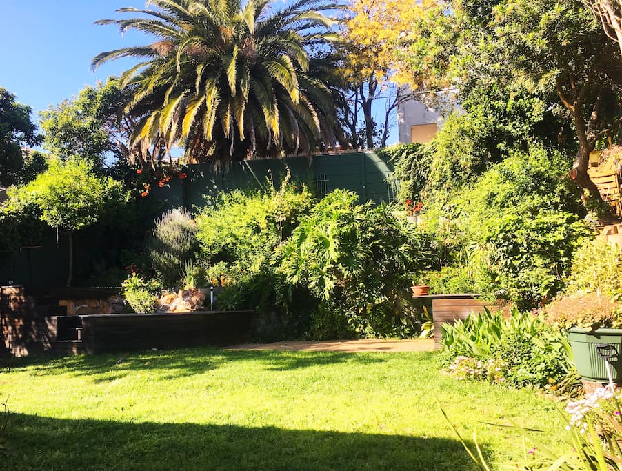 Garden, pool and braai area