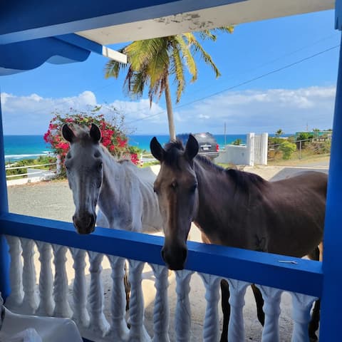 Ocean View Blue & Beach, Viequesrentals, 7bd-6bth