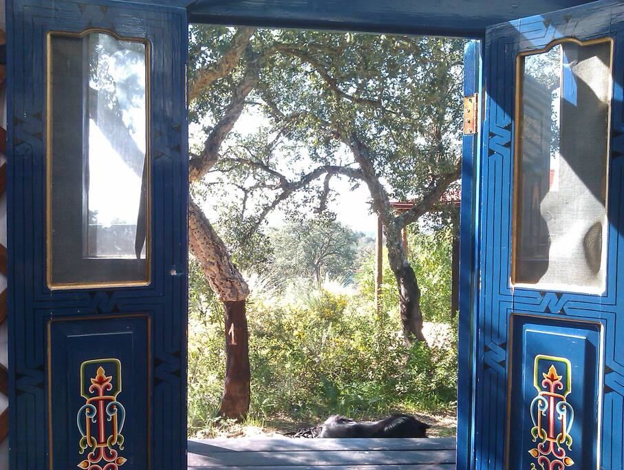 View from inside out