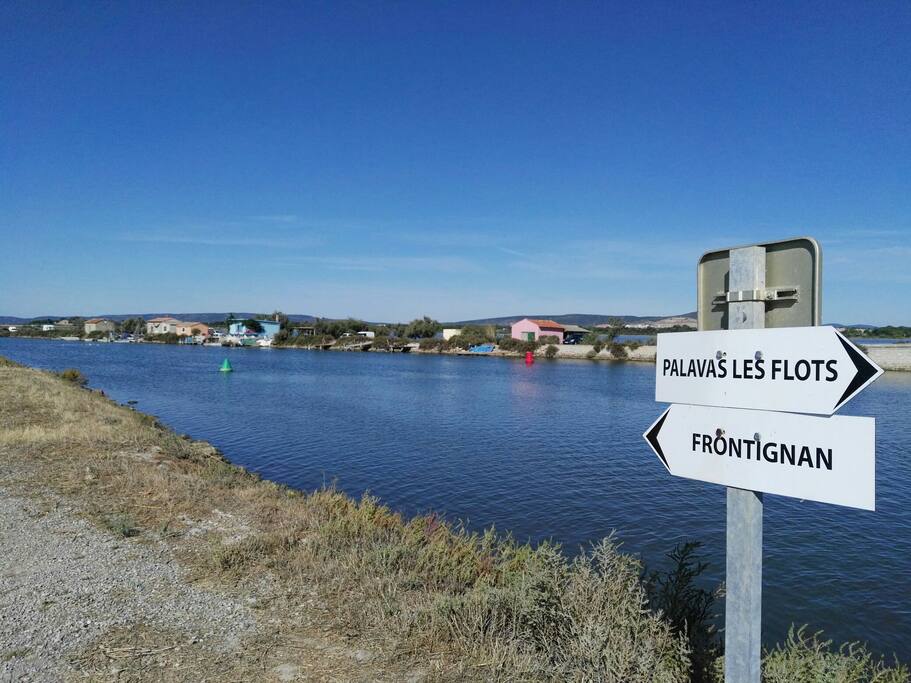 En allant à la plage....