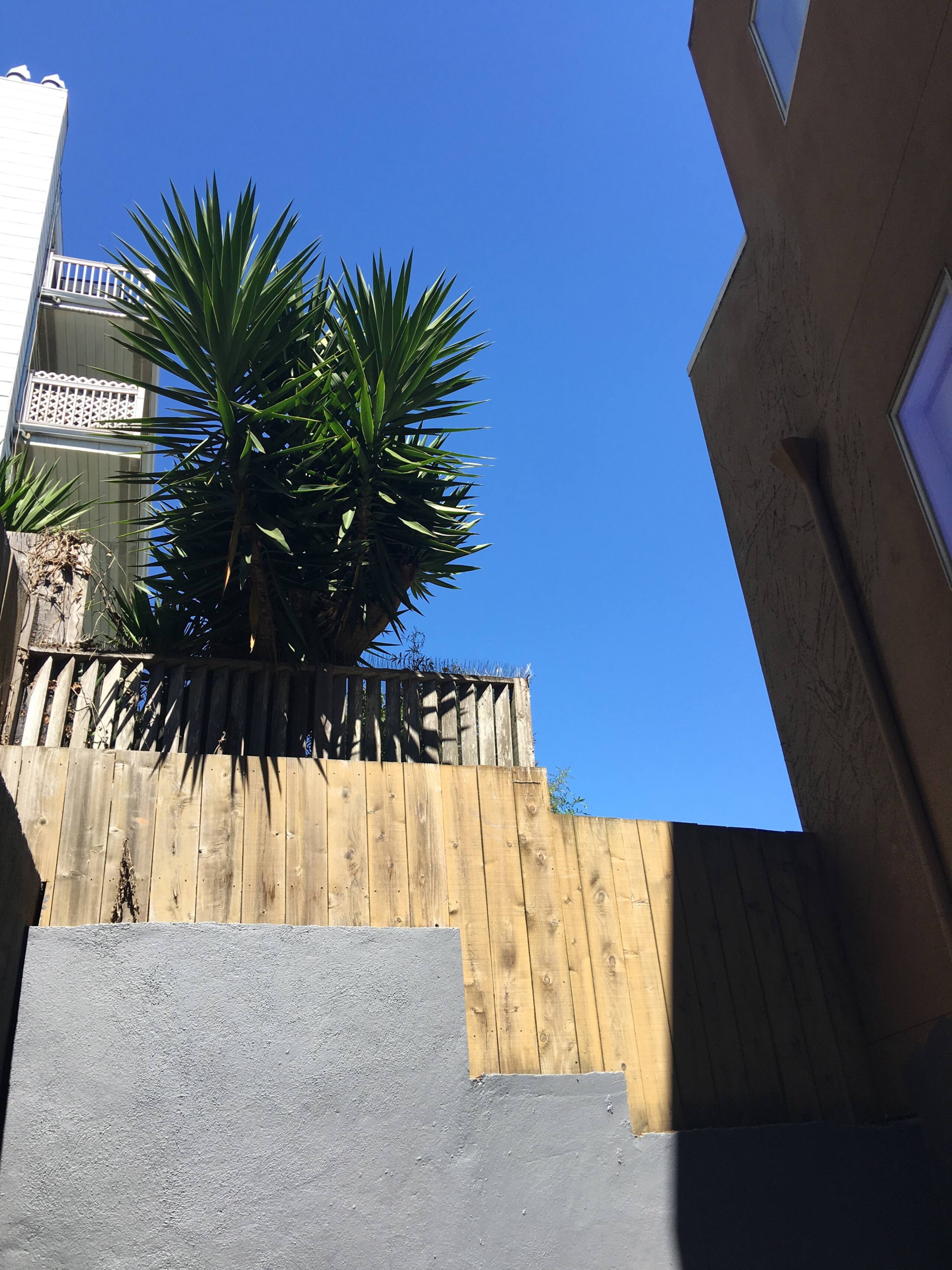 Condo in San Francisco · ★4.83 · 1 bedroom · 1 bed · 1 bath - Image 4