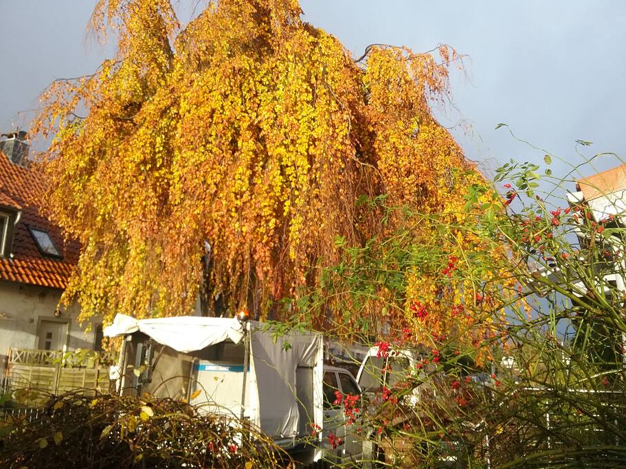 vorm Haus....