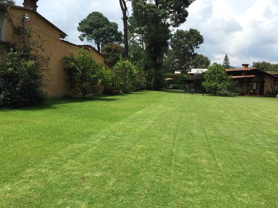 Jardín delantero