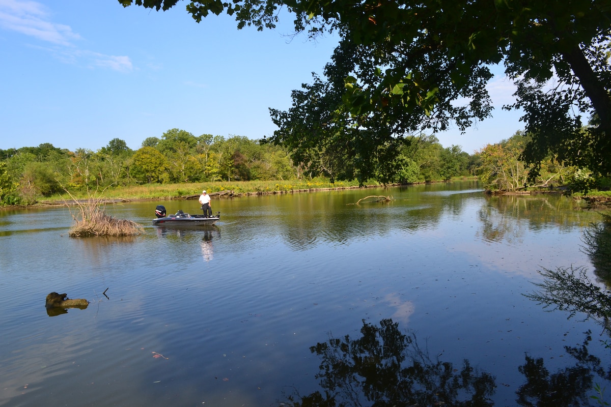 A serene tidal creek features calm waters reflecting a clear sky. A fishing boat is seen gently floating, with a lone angler casting a line. Lush greenery surrounds the water, creating a peaceful natural environment.