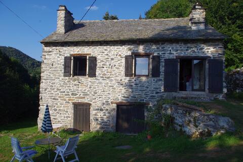 Nice farm in authentic Auvergne, forest