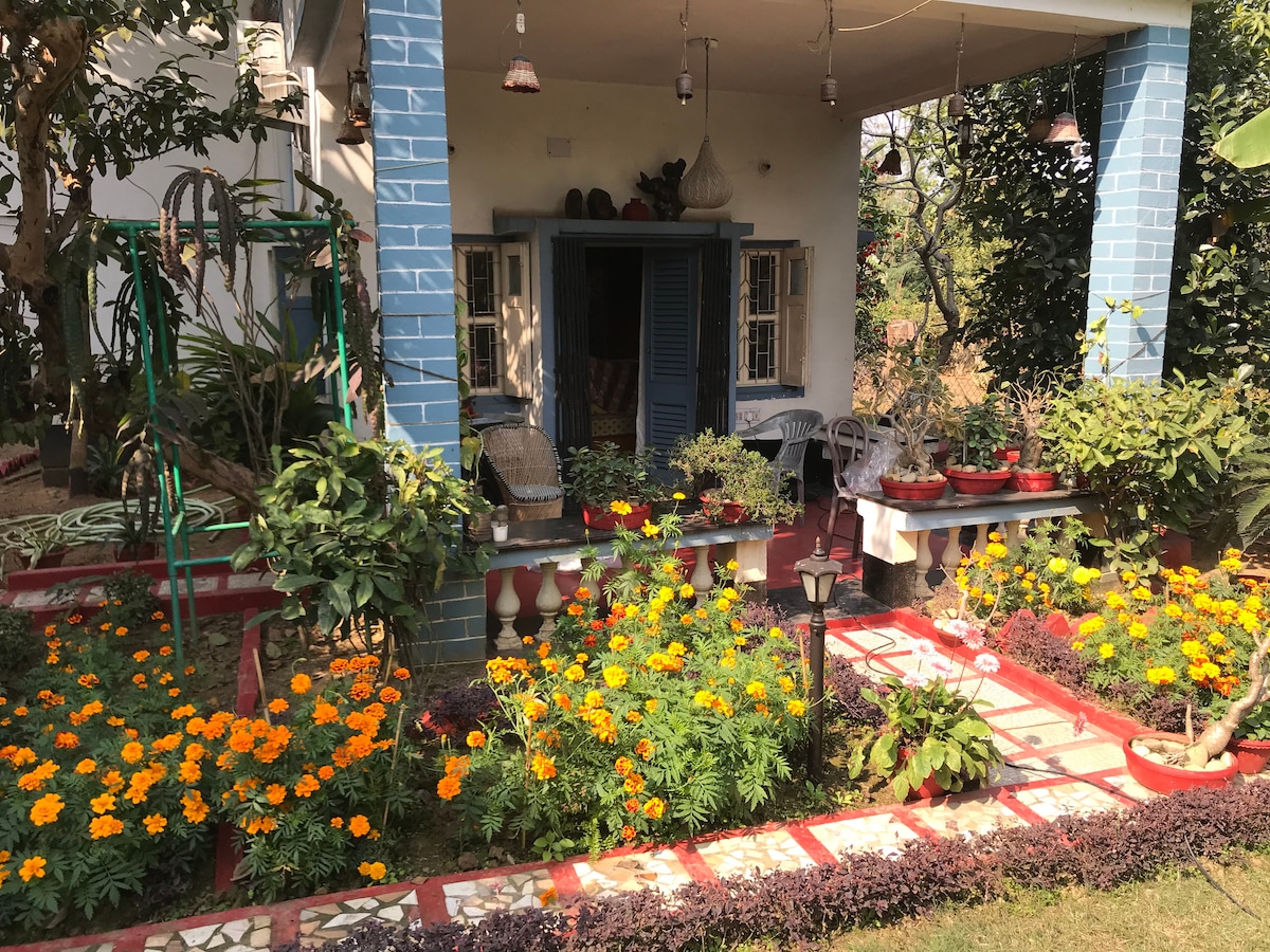A welcoming porch is enveloped by vibrant flower beds filled with marigolds and greenery. A seating area with white chairs is positioned under the shade. Hanging lights and decorative features complement the inviting entrance, which provides access to a cozy indoor space.