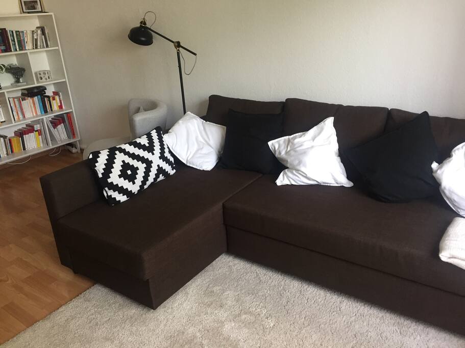 Living room with the sofa bed