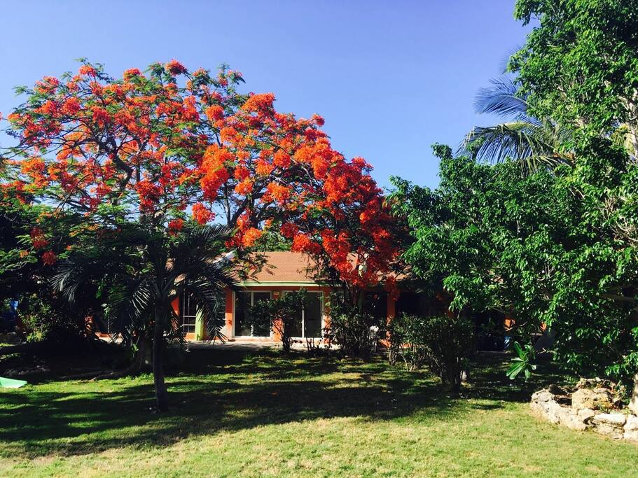 spacious cottages