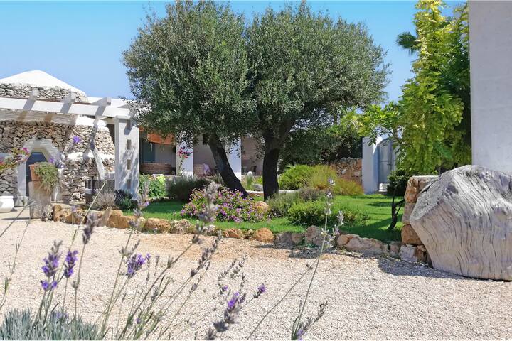 Villa La Rezza gallery image 5