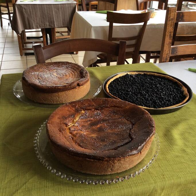 Spécialités Alsaciennes tarte "maison " au fromage blanc et tarte aux myrtilles