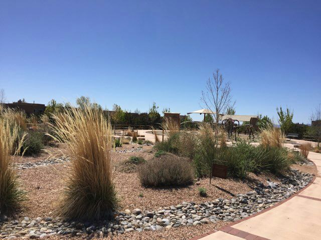 A landscaped area is featured with varying grass heights and native plants, showcasing a combination of gravel pathways and stone borders. A clear blue sky fills the background, and clusters of trees can be seen in the distance, creating a serene and natural environment.