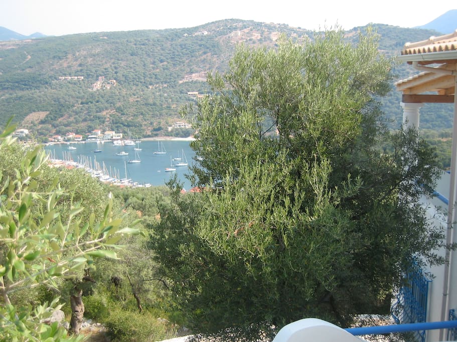 - La baia
- The bay