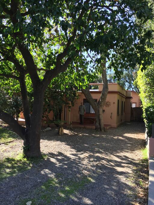 Driveway Entrance