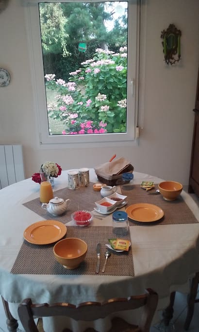 Vue sur jardin pendant le petit déjeuner