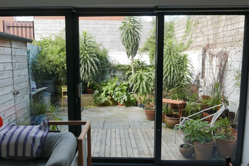 Garden In Spring