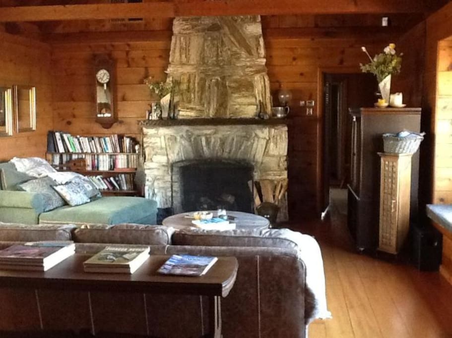 Petrified wood fireplace