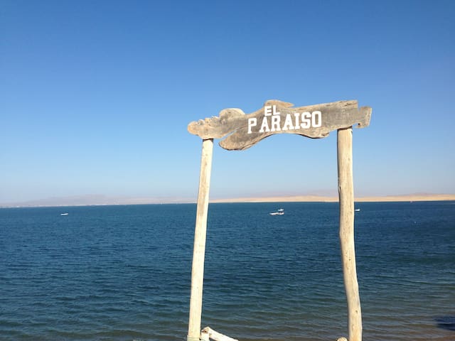 Paracas Reserve camp off the grid experience