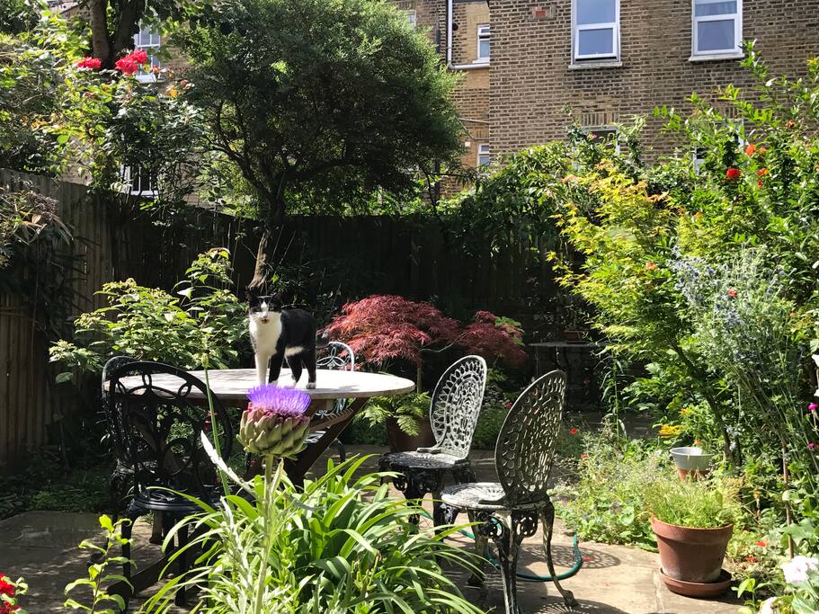 paved garden